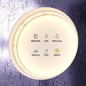 Лента светодиодная Maytoni Led strip 10157 в Качканаре - kachkanar.ok-mebel.com | фото 2