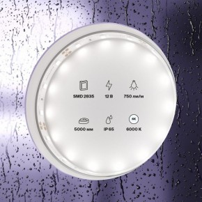 Лента светодиодная Maytoni Led strip 20006 в Качканаре - kachkanar.ok-mebel.com | фото 2