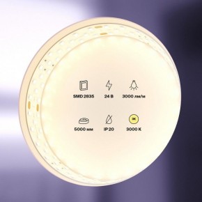 Лента светодиодная Maytoni Led strip 20031 в Качканаре - kachkanar.ok-mebel.com | фото 2
