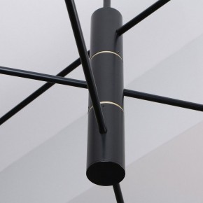 Люстра на штанге Favourite Imma 4375-6P в Качканаре - kachkanar.ok-mebel.com | фото 2