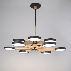 Люстра на штанге Imperiumloft TURNA Black TURNA-DBL01 в Качканаре - kachkanar.ok-mebel.com | фото 2