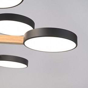 Люстра на штанге Imperiumloft TURNA Black TURNA-DBL01 в Качканаре - kachkanar.ok-mebel.com | фото 8
