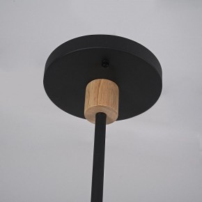 Люстра на штанге Imperiumloft TURNA Black TURNA-DBL01 в Качканаре - kachkanar.ok-mebel.com | фото 9