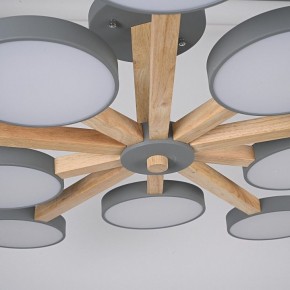 Люстра на штанге Imperiumloft TURNA Gray TURNA-B01 в Качканаре - kachkanar.ok-mebel.com | фото 10
