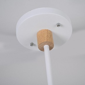 Люстра на штанге Imperiumloft TURNA White TURNA-DBL01 в Качканаре - kachkanar.ok-mebel.com | фото 7