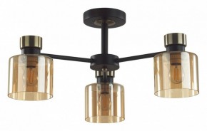 Люстра на штанге Lumion ARLIN 5643/3C в Качканаре - kachkanar.ok-mebel.com | фото