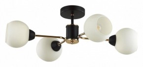 Люстра на штанге Lumion KODI 5646/4C в Качканаре - kachkanar.ok-mebel.com | фото