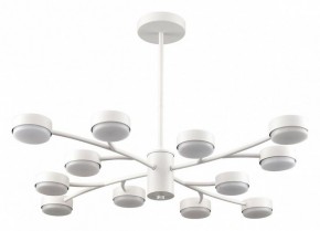 Люстра на штанге Lumion TORINA 8265/12 в Качканаре - kachkanar.ok-mebel.com | фото