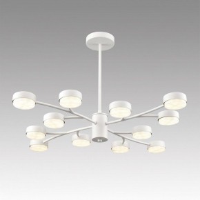 Люстра на штанге Lumion TORINA 8265/12 в Качканаре - kachkanar.ok-mebel.com | фото 3