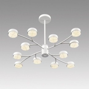 Люстра на штанге Lumion TORINA 8265/12 в Качканаре - kachkanar.ok-mebel.com | фото 5