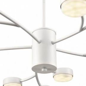 Люстра на штанге Lumion TORINA 8265/15 в Качканаре - kachkanar.ok-mebel.com | фото 8
