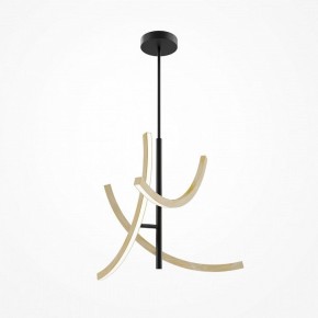 Люстра на штанге Maytoni Wabi MOD428PL-L27BK в Качканаре - kachkanar.ok-mebel.com | фото 5