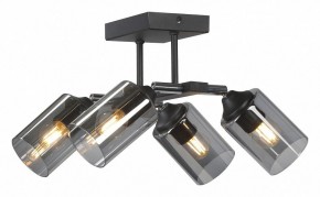Люстра на штанге Vitaluce V2833 V2833-1/4PL в Качканаре - kachkanar.ok-mebel.com | фото