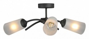 Люстра на штанге Vitaluce V2850 V2850-1/3PL в Качканаре - kachkanar.ok-mebel.com | фото