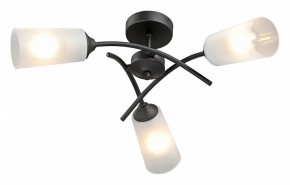 Люстра на штанге Vitaluce V2850 V2850-1/3PL в Качканаре - kachkanar.ok-mebel.com | фото 2