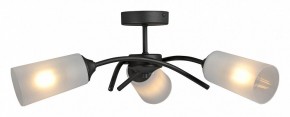 Люстра на штанге Vitaluce V2850 V2850-1/3PL в Качканаре - kachkanar.ok-mebel.com | фото 3