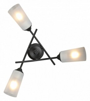 Люстра на штанге Vitaluce V2850 V2850-1/3PL в Качканаре - kachkanar.ok-mebel.com | фото 4