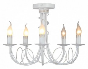 Люстра на штанге Vitaluce V3035 V3035-0/5PL в Качканаре - kachkanar.ok-mebel.com | фото 2