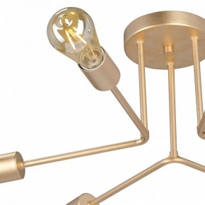 Люстра на штанге Vitaluce V3071 V3071-8/6PL в Качканаре - kachkanar.ok-mebel.com | фото 6