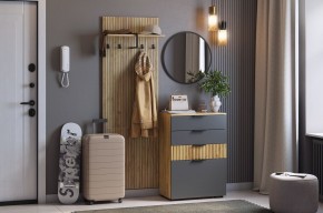 МЕБЕЛЬСОН К3 Прихожая в Качканаре - kachkanar.ok-mebel.com | фото 2