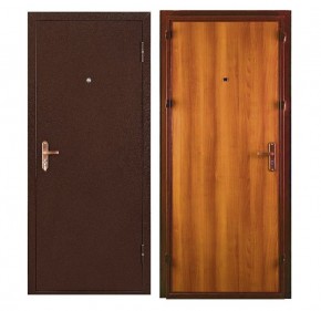Металлическая дверь СПЕЦ ПРО (МЕТАЛЛ-ПАНЕЛЬ) 2060*860/ЛЕВАЯ в Качканаре - kachkanar.ok-mebel.com | фото