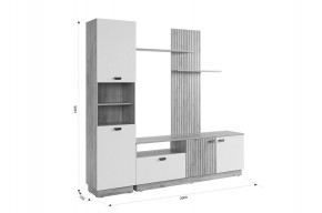 МОДИ К1 Гостиная (белое дерево) в Качканаре - kachkanar.ok-mebel.com | фото 2