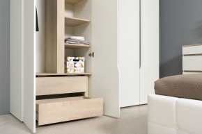 Муссон Шкаф двухстворчатый 13.198 в Качканаре - kachkanar.ok-mebel.com | фото 3