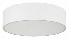 Накладной светильник Arlight TOR PILL 022103(3) в Качканаре - kachkanar.ok-mebel.com | фото
