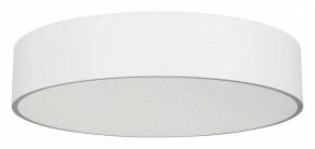 Накладной светильник Arlight TOR PILL 022108(3) в Качканаре - kachkanar.ok-mebel.com | фото