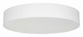 Накладной светильник Arlight TOR PILL 022131(3) в Качканаре - kachkanar.ok-mebel.com | фото