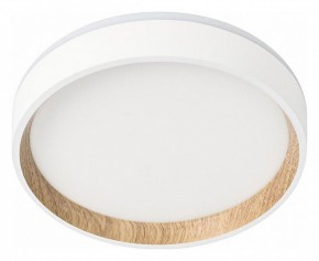 Накладной светильник Citilux Etalon CL750180 в Качканаре - kachkanar.ok-mebel.com | фото