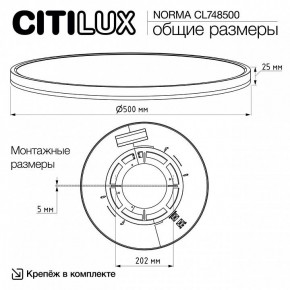 Накладной светильник Citilux Norma CL748500 в Качканаре - kachkanar.ok-mebel.com | фото 11