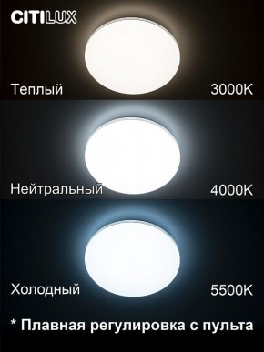 Накладной светильник Citilux Симпла CL714330G в Качканаре - kachkanar.ok-mebel.com | фото 4