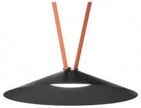 Накладной светильник Denkirs Belty Flow DK5568-BK в Качканаре - kachkanar.ok-mebel.com | фото 2