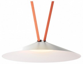 Накладной светильник Denkirs Belty Flow DK5569-WH+BK в Качканаре - kachkanar.ok-mebel.com | фото