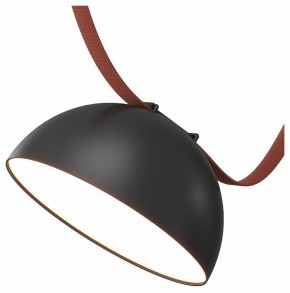 Накладной светильник Denkirs Belty Flow DK5660-BK в Качканаре - kachkanar.ok-mebel.com | фото