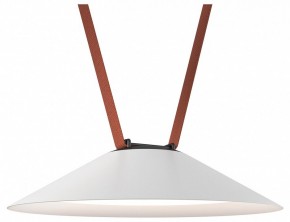 Накладной светильник Denkirs Belty Flow DK5664-WH+BK в Качканаре - kachkanar.ok-mebel.com | фото