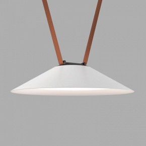 Накладной светильник Denkirs Belty Flow DK5664-WH+BK в Качканаре - kachkanar.ok-mebel.com | фото 2