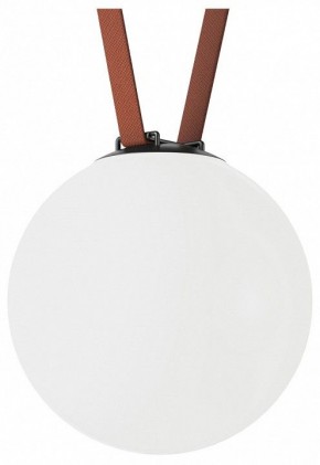 Накладной светильник Denkirs Belty Orb DK5554-BK в Качканаре - kachkanar.ok-mebel.com | фото