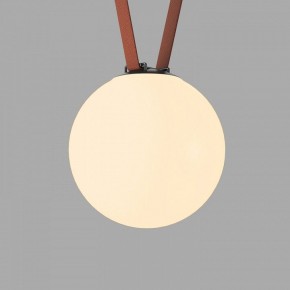 Накладной светильник Denkirs Belty Orb DK5555-BK в Качканаре - kachkanar.ok-mebel.com | фото 2