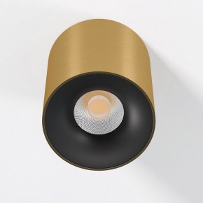 Накладной светильник Elektrostandard Primo 25116/LED в Качканаре - kachkanar.ok-mebel.com | фото 2