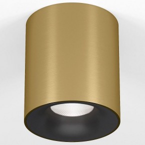 Накладной светильник Elektrostandard Primo 25116/LED в Качканаре - kachkanar.ok-mebel.com | фото 2