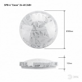 Накладной светильник Эра Классик SPB-6-24-4K (C) в Качканаре - kachkanar.ok-mebel.com | фото 6