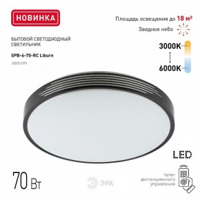 Накладной светильник Эра Классик SPB-6-70-RC Liburn в Качканаре - kachkanar.ok-mebel.com | фото 10