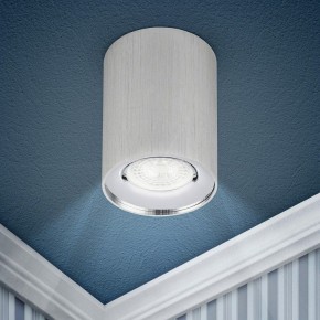 Накладной светильник Эра  OL1 GU10 SL/CH в Качканаре - kachkanar.ok-mebel.com | фото 3