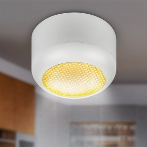 Накладной светильник Эра  OL56 WH в Качканаре - kachkanar.ok-mebel.com | фото 8