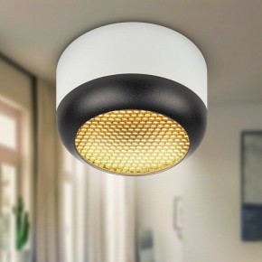 Накладной светильник Эра  OL56 WH/BK в Качканаре - kachkanar.ok-mebel.com | фото 8