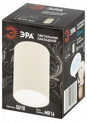 Накладной светильник Эра  OL57 WH в Качканаре - kachkanar.ok-mebel.com | фото 7