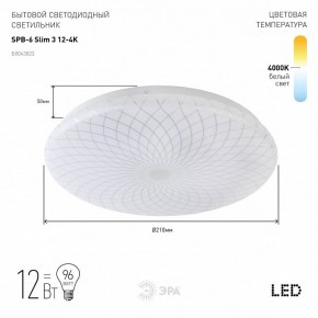 Накладной светильник Эра Slim SPB-6 Slim 3 12-4K в Качканаре - kachkanar.ok-mebel.com | фото 2