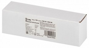 Накладной светильник Эра  TRM-S5-1-6W4K-BK в Качканаре - kachkanar.ok-mebel.com | фото 6